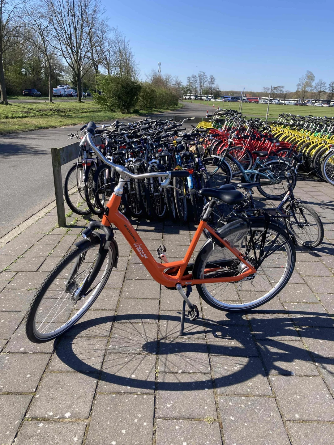🇳🇱库肯霍夫周边（花田＆海边）