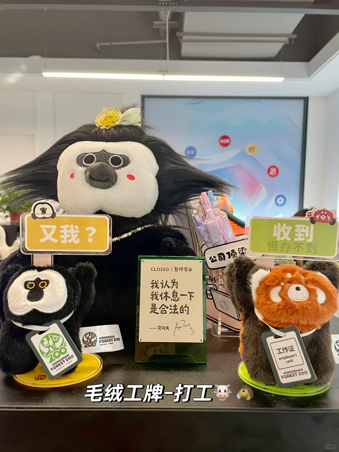 南京红山动物园4月盖章攻略来啦！！（附位置）