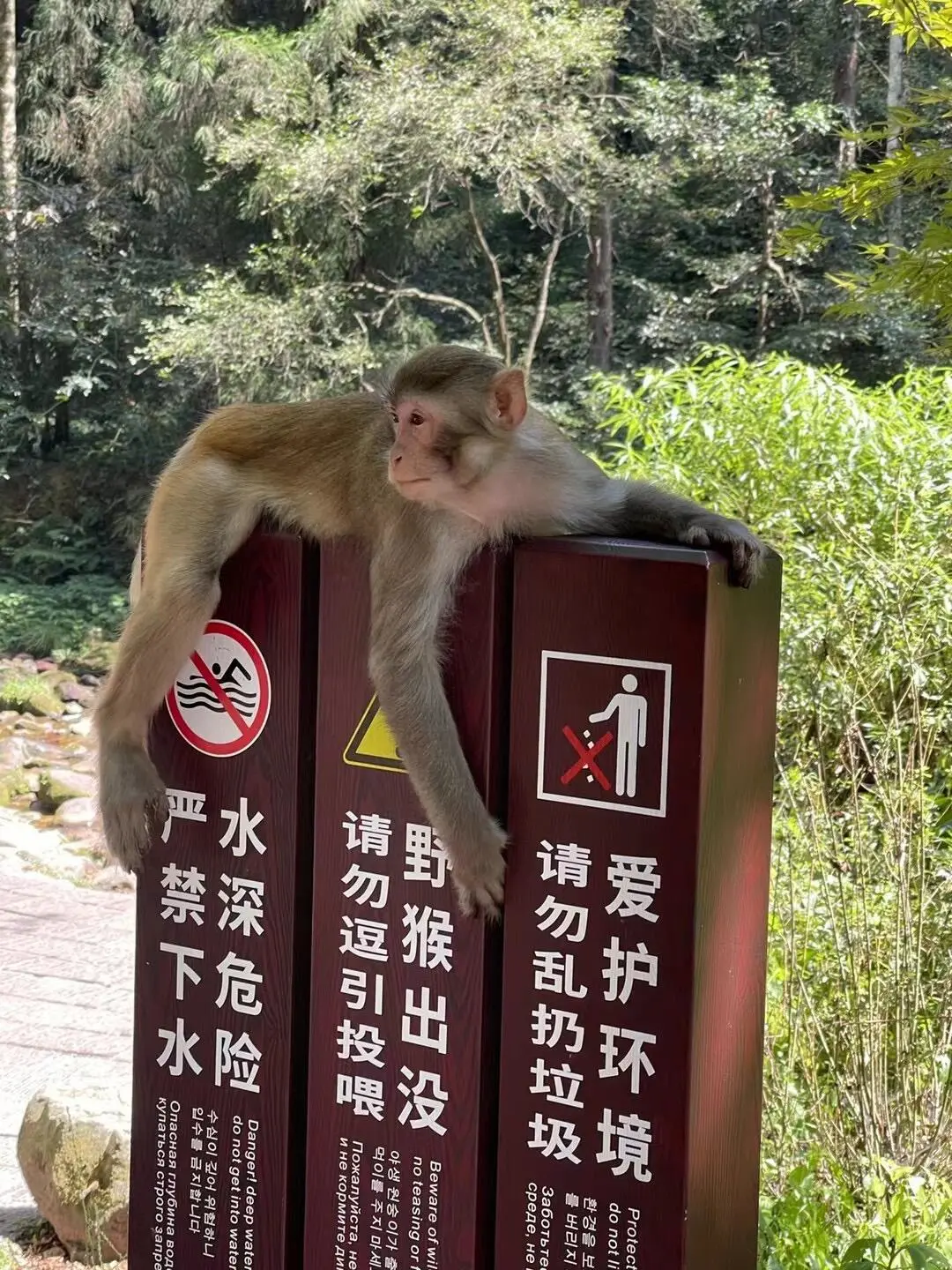 张家界旅行后劲太大了，听我的真实感受❗️