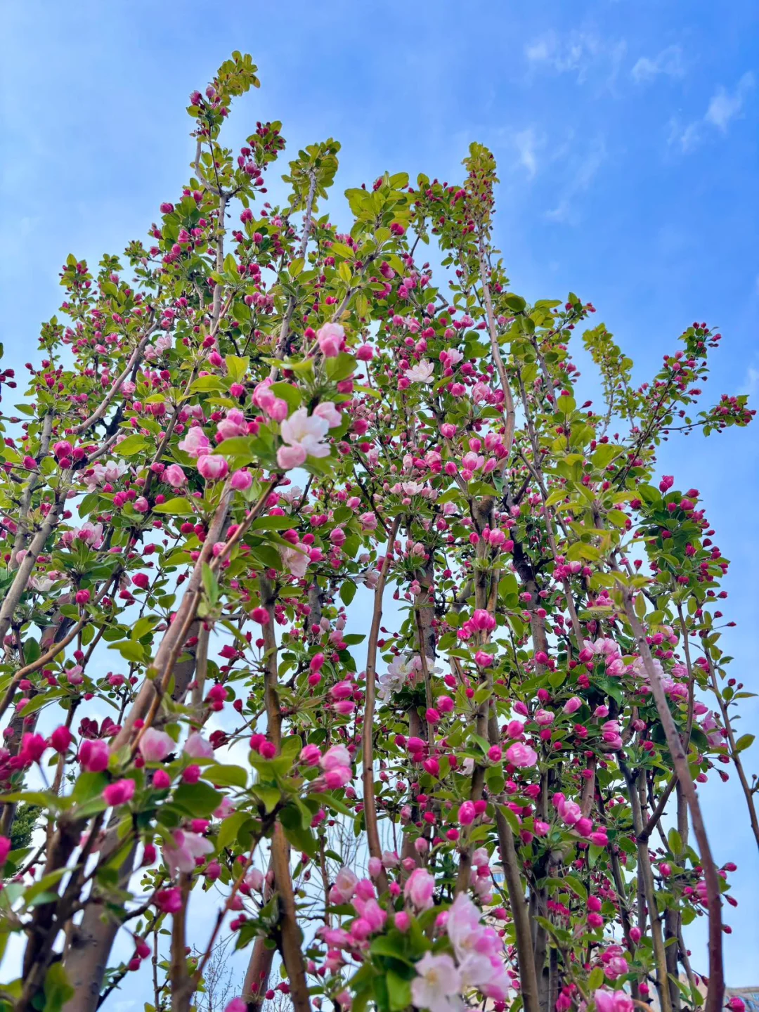 去天津前听点不一样的实话吧……