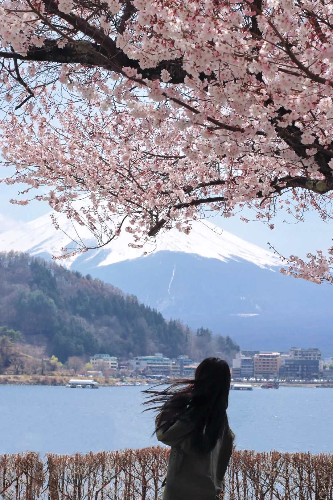 今天富士山能见度max！