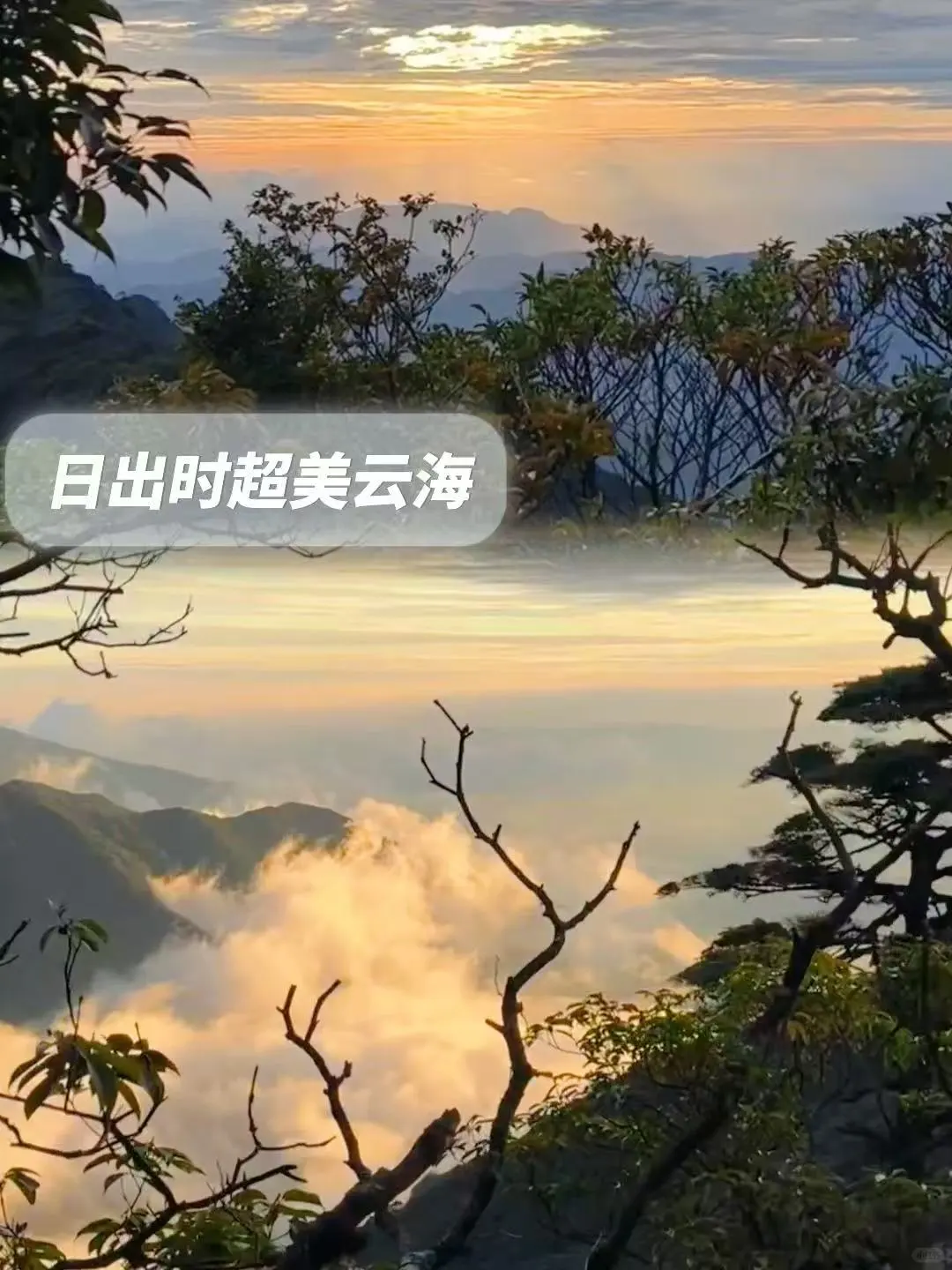 这些目的地真的超美！贵州铜仁梵净山🏔️