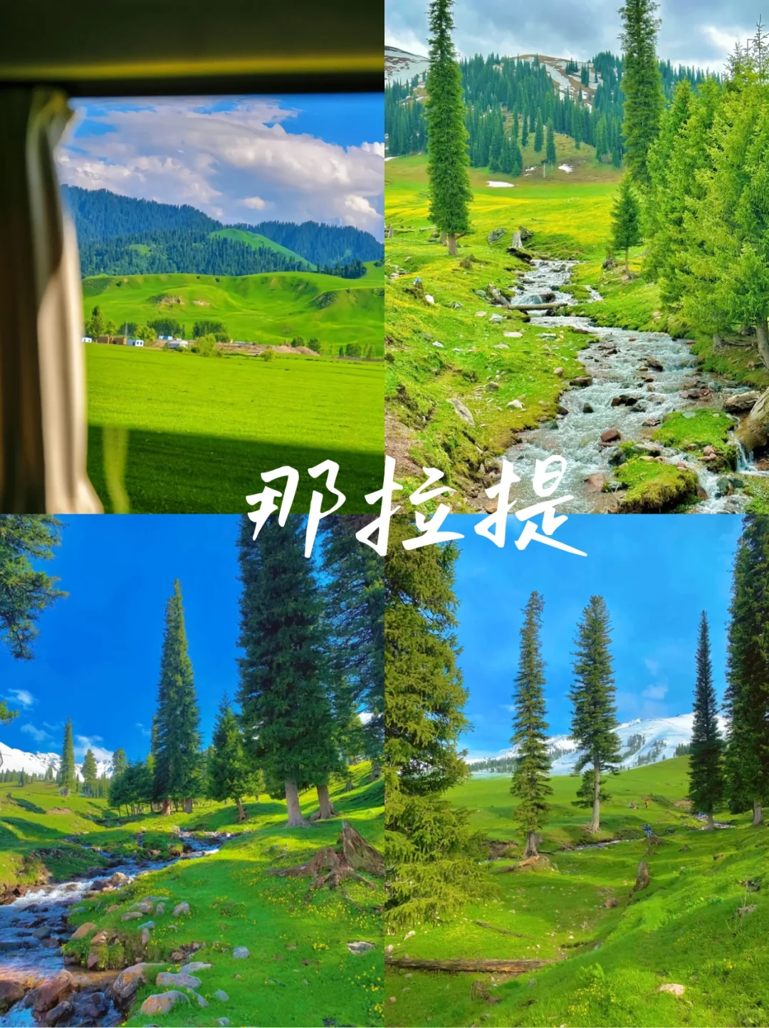 不允许还有人没看过这份新疆旅游攻略🆘