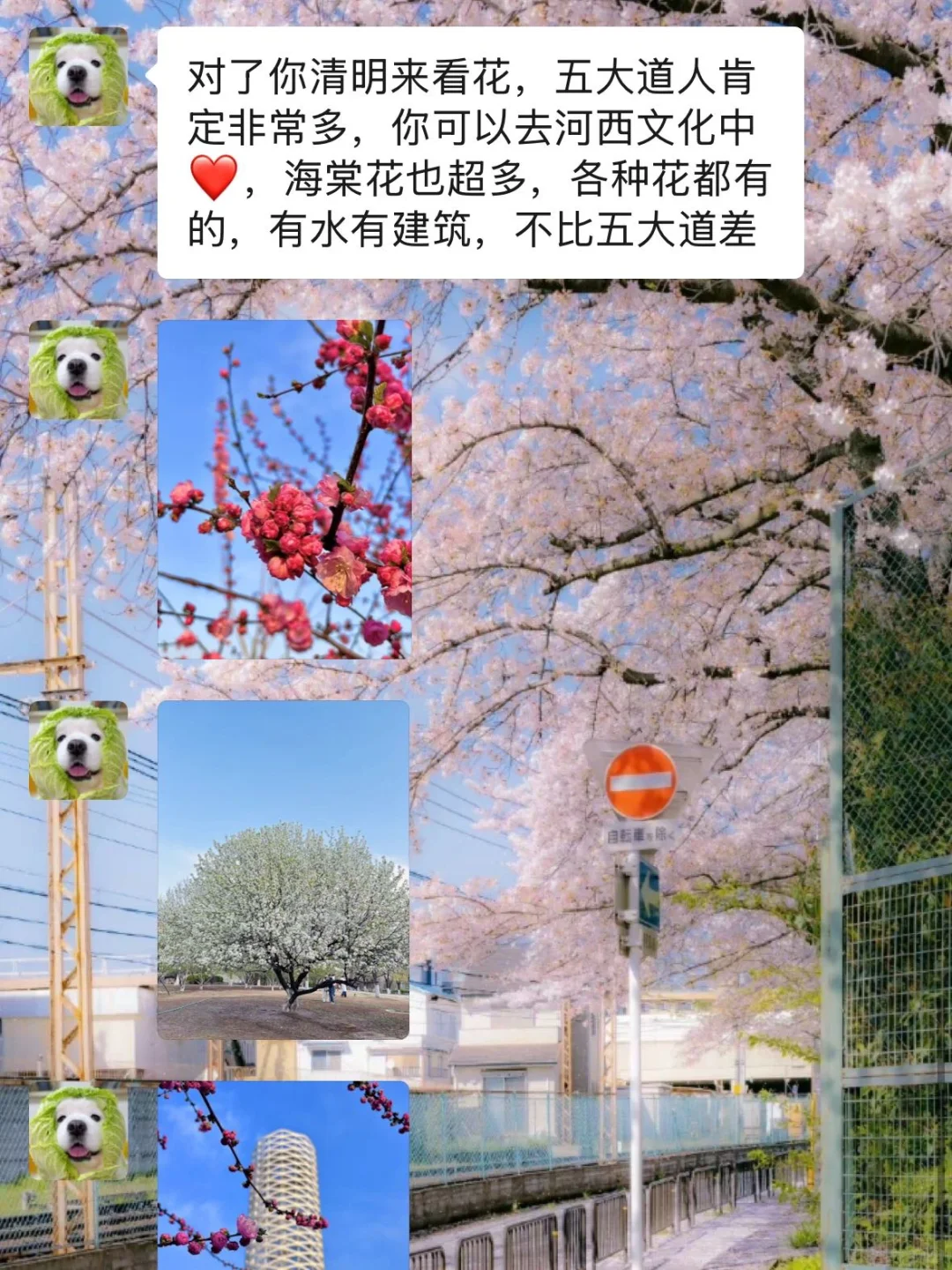 去天津前听点不一样的实话吧……