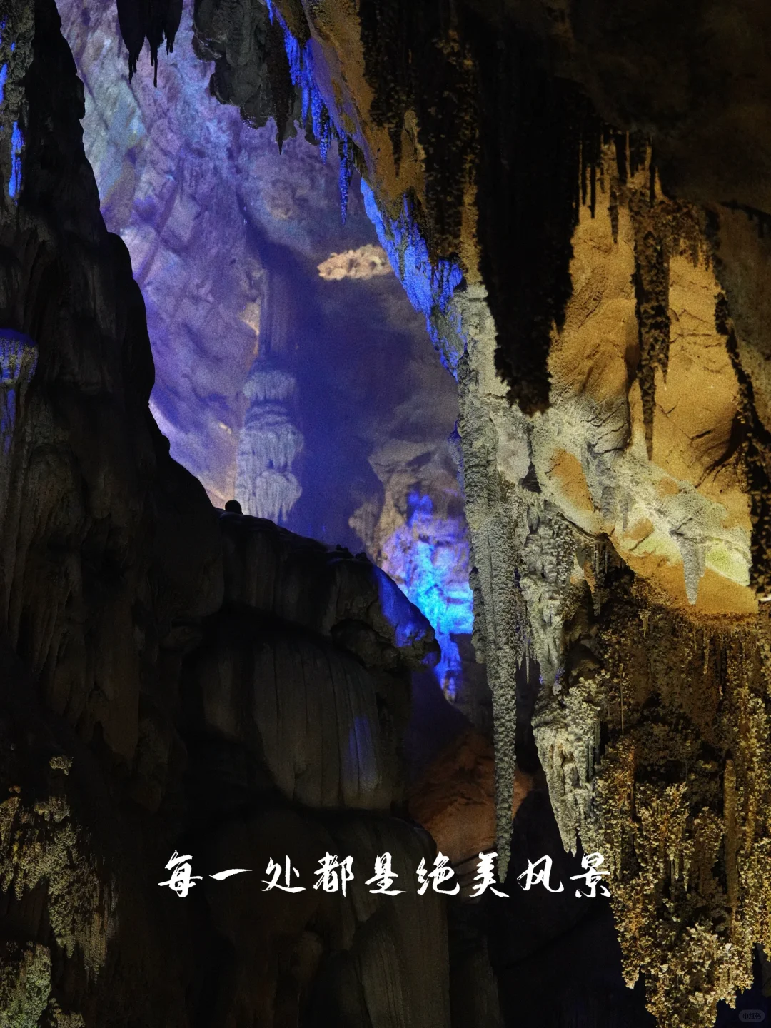 探秘贵州地球之花