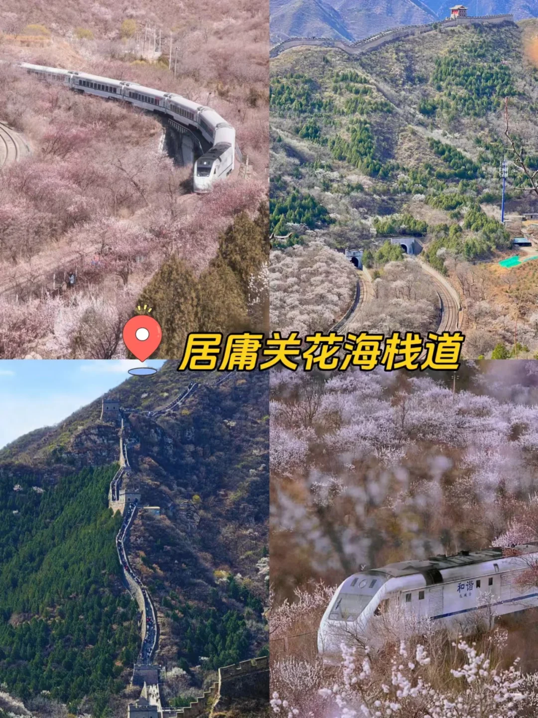 天津春日徒步🍃8条新手友好路线,踏青不