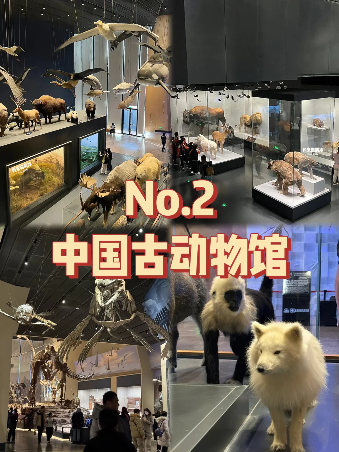 保定必去九个景点~