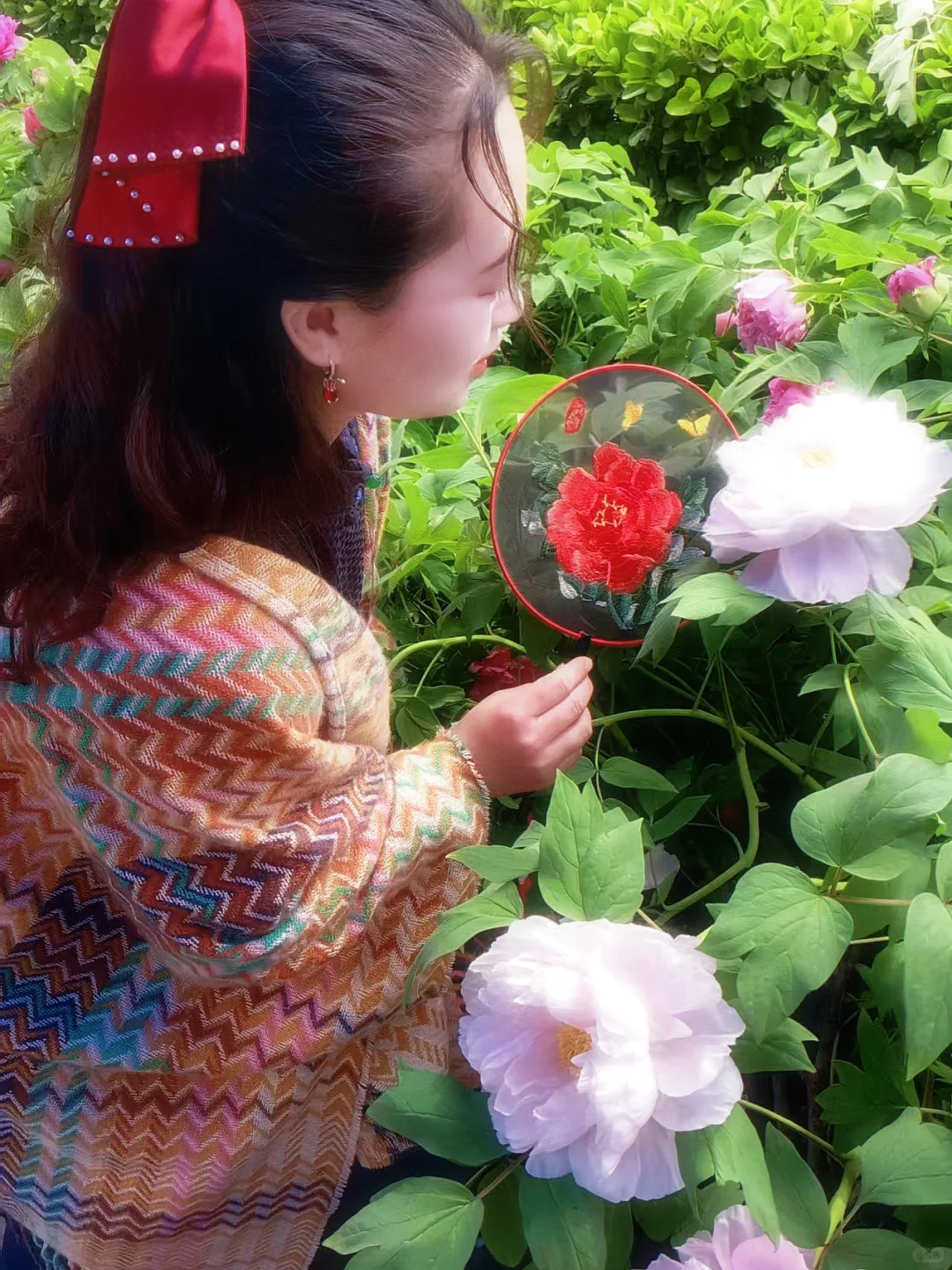 洛阳旅游必看攻略，避免踩坑！