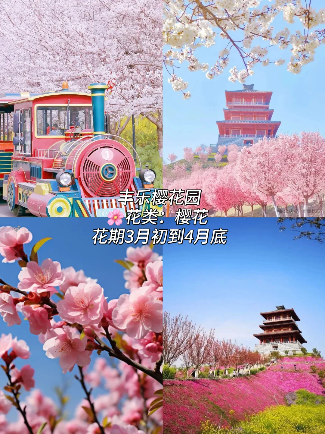 郑州这10个地方最近一定要去！（附赏花时间表