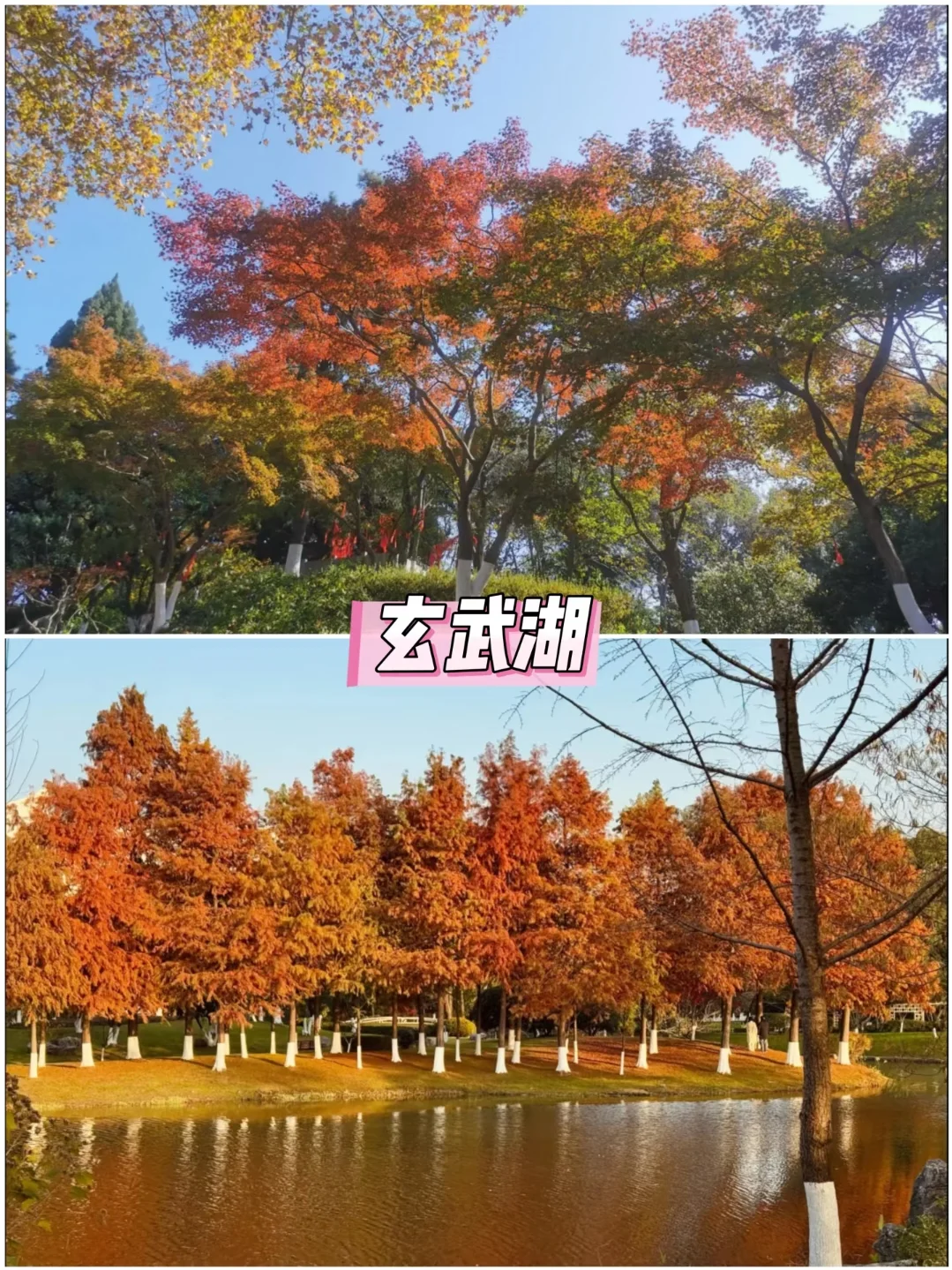 📣保姆级攻略来南京旅游的看这里!!!