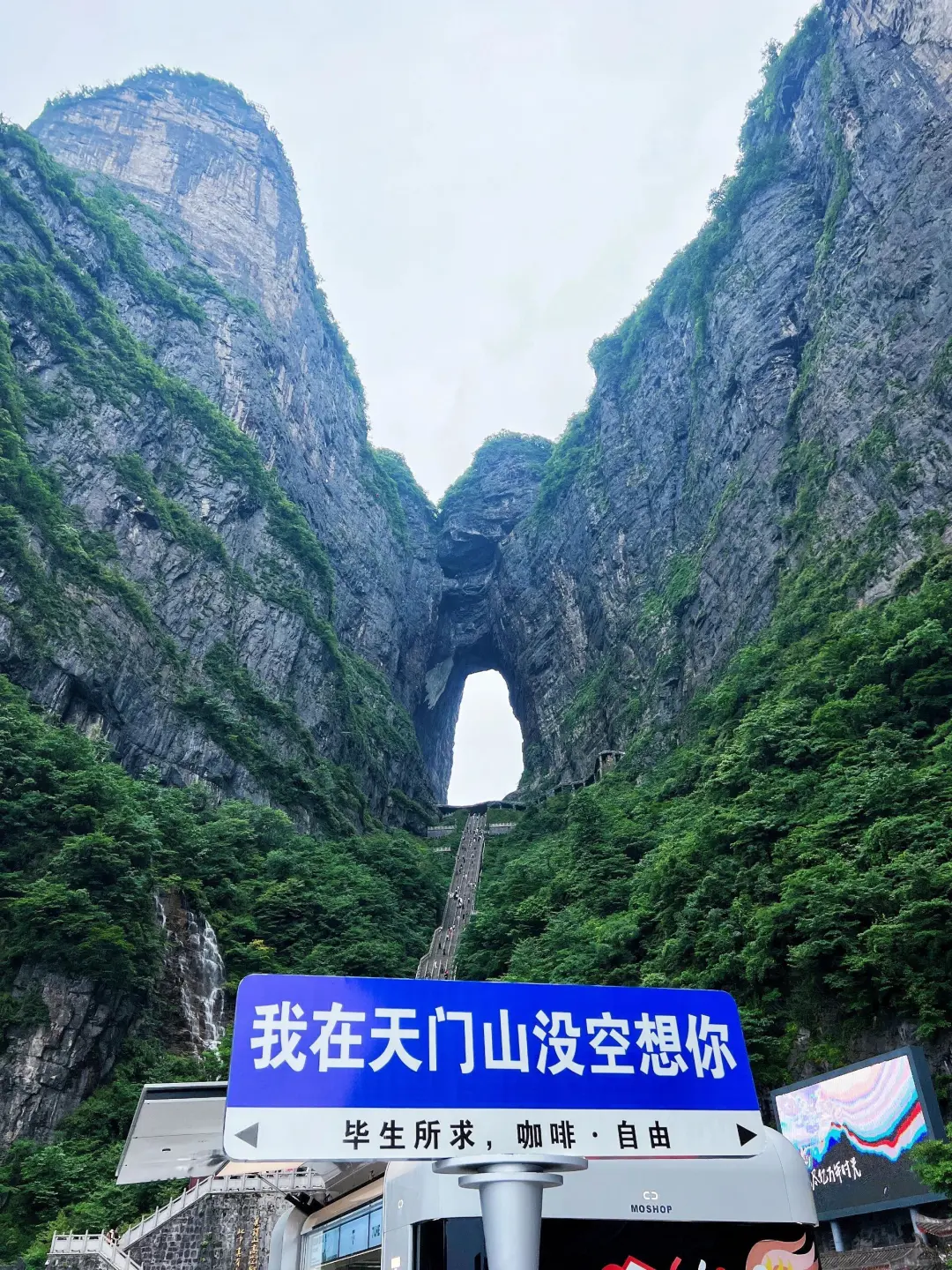 张家界旅行后劲太大了，听我的真实感受❗️