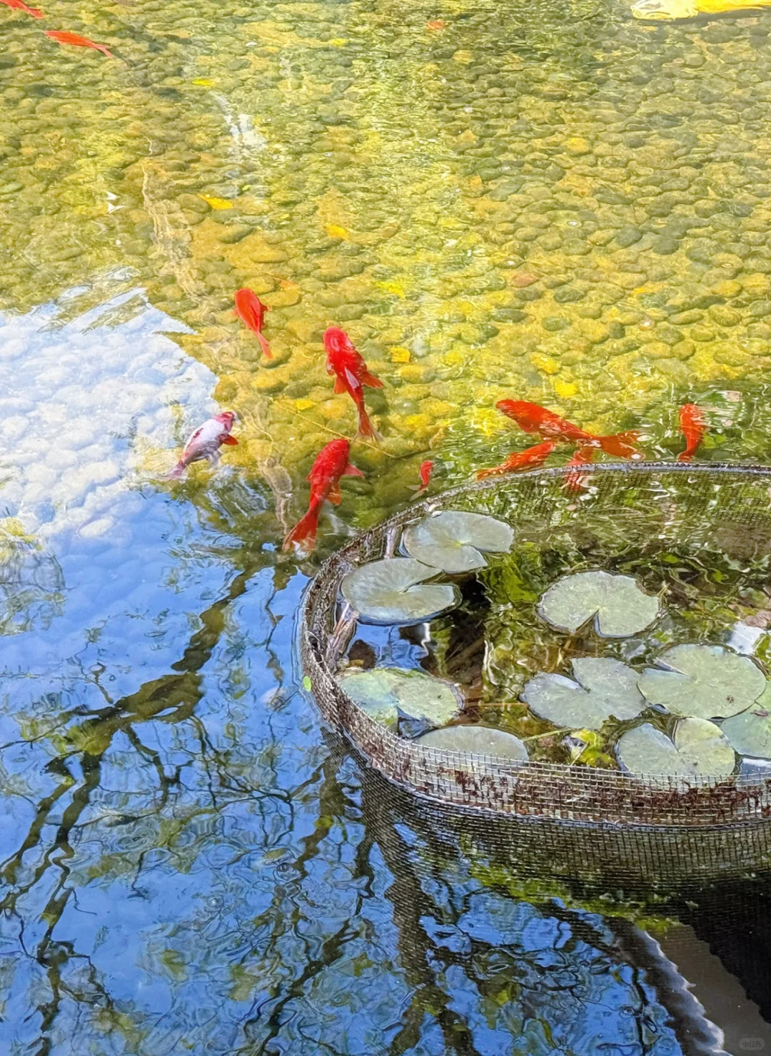 我悟了！反向旅行才是人少的真谛