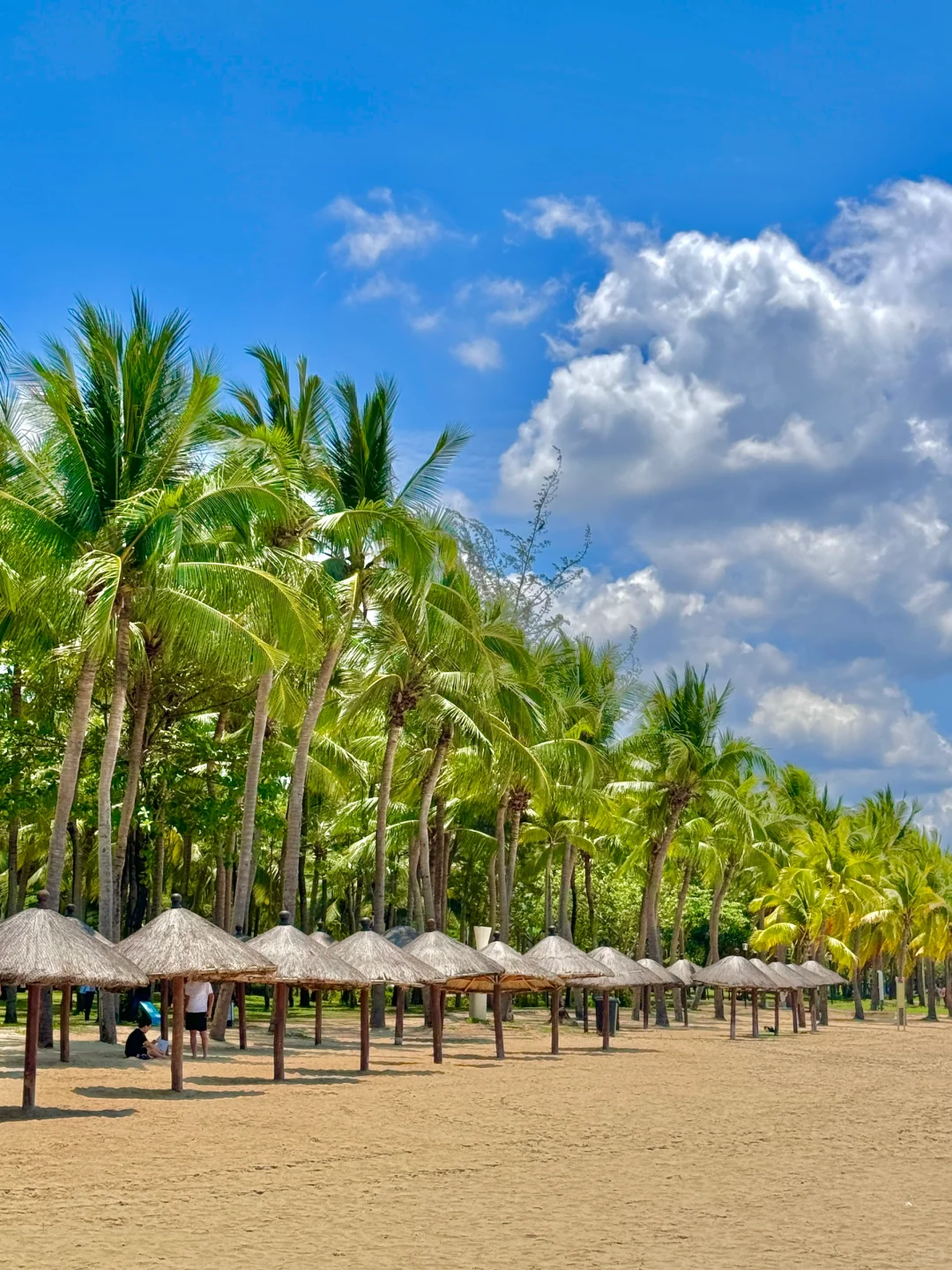 谁懂！！J人男友用时3小时速通三亚攻略！！