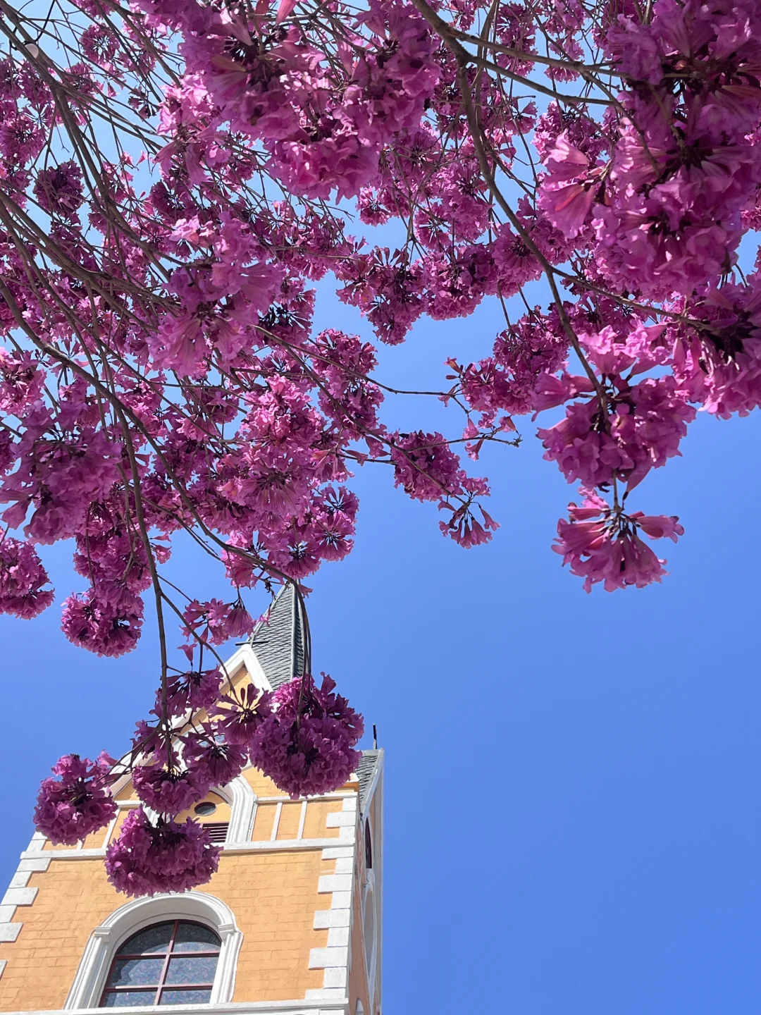 朋友圈被问爆了！深圳梅拉尼小镇梦幻出片地✨