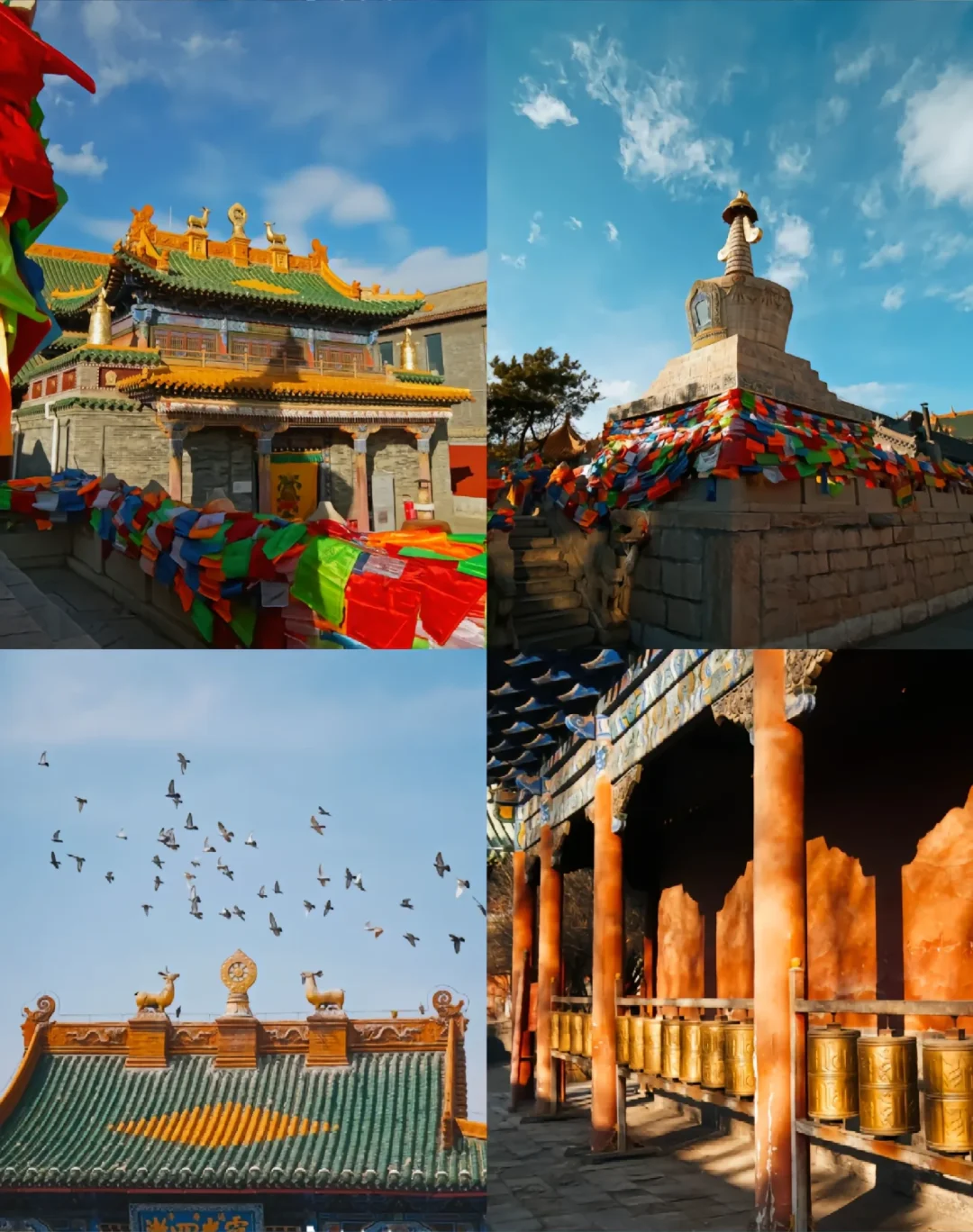 【呼和浩特｜草原与城市的完美邂逅】