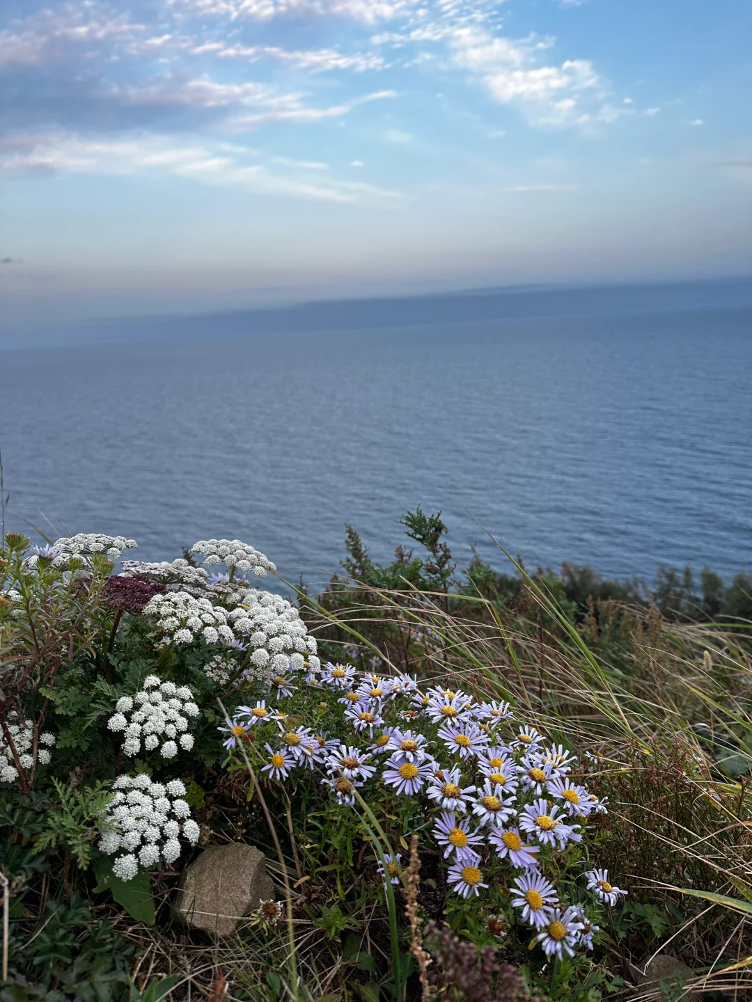 京郊三小时 绝佳躺平圣地