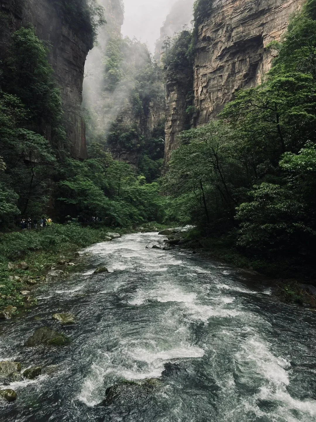 张家界必去九大景点❗旅游前必看攻略❗