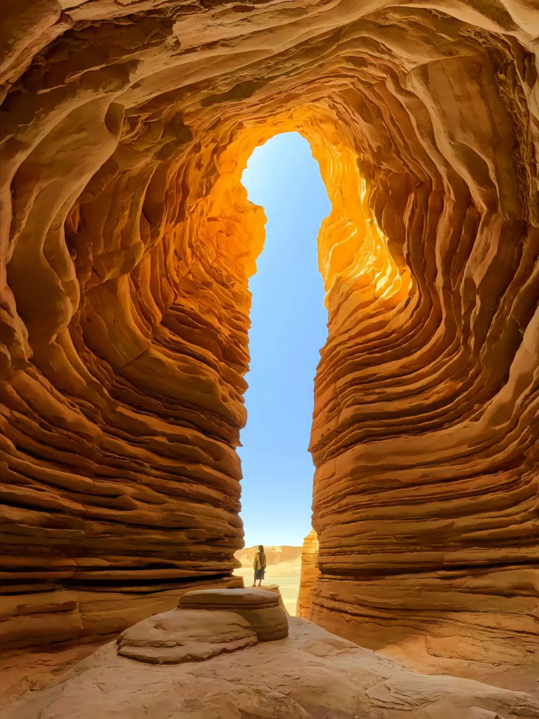 西北行结束！真心建议3-5月去，因为真的…