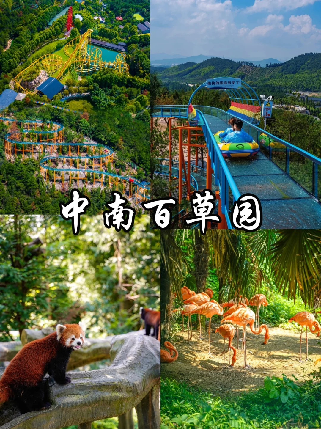 🔥安吉必去的9️⃣大景点！看这一篇就够啦‼️