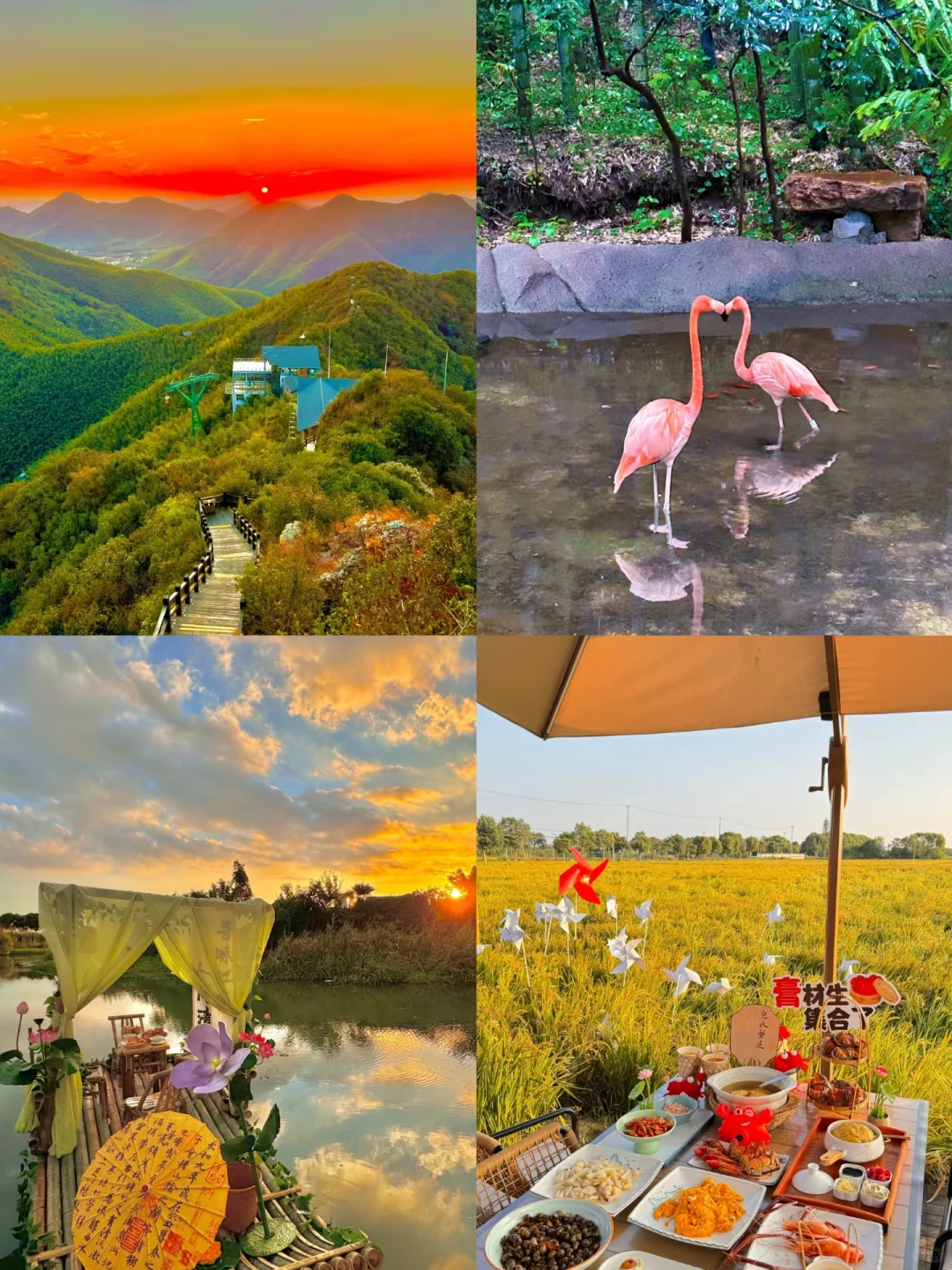 江浙沪周边景点 | 团建好去处✅不容错过