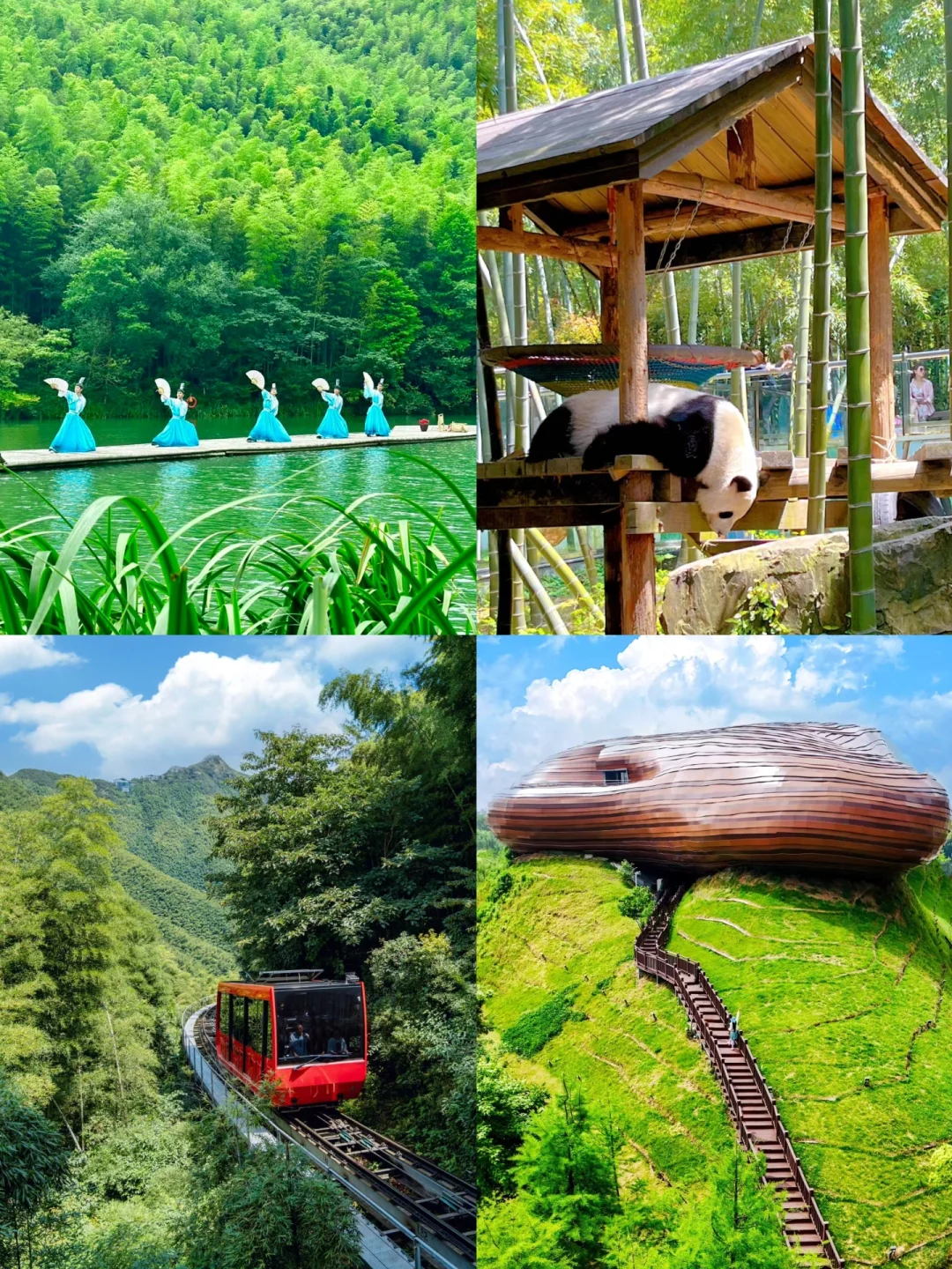 江浙沪周边景点 | 团建好去处✅不容错过