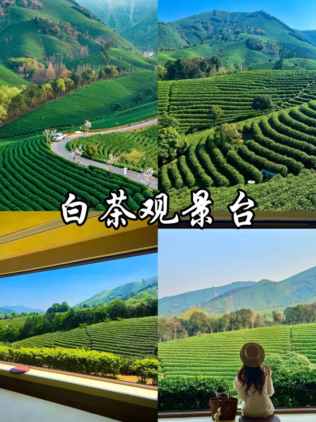 🔥安吉必去的9️⃣大景点！看这一篇就够啦‼️