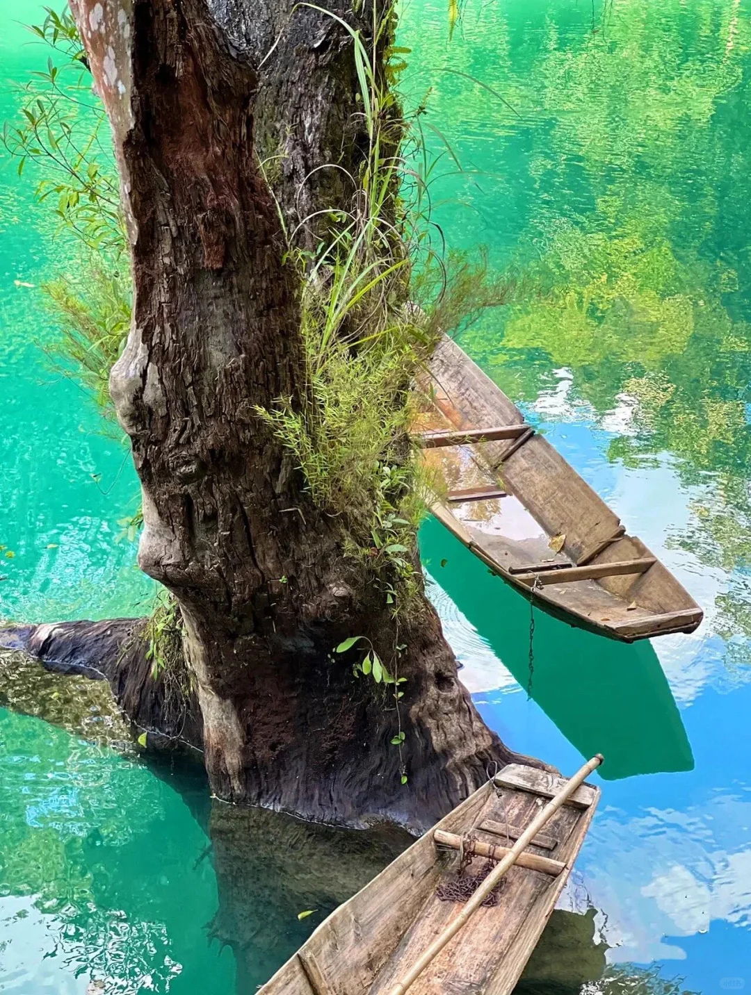 🏰贵阳，一座让你来了就不想走的城市🩷