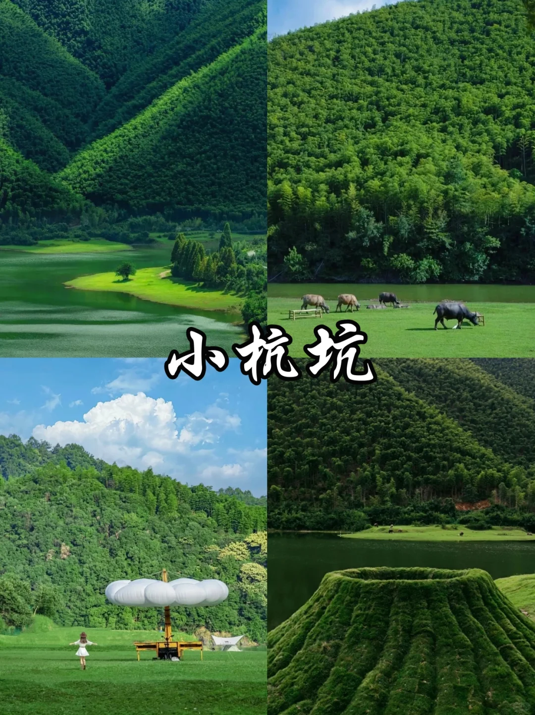 🔥安吉必去的9️⃣大景点！看这一篇就够啦‼️