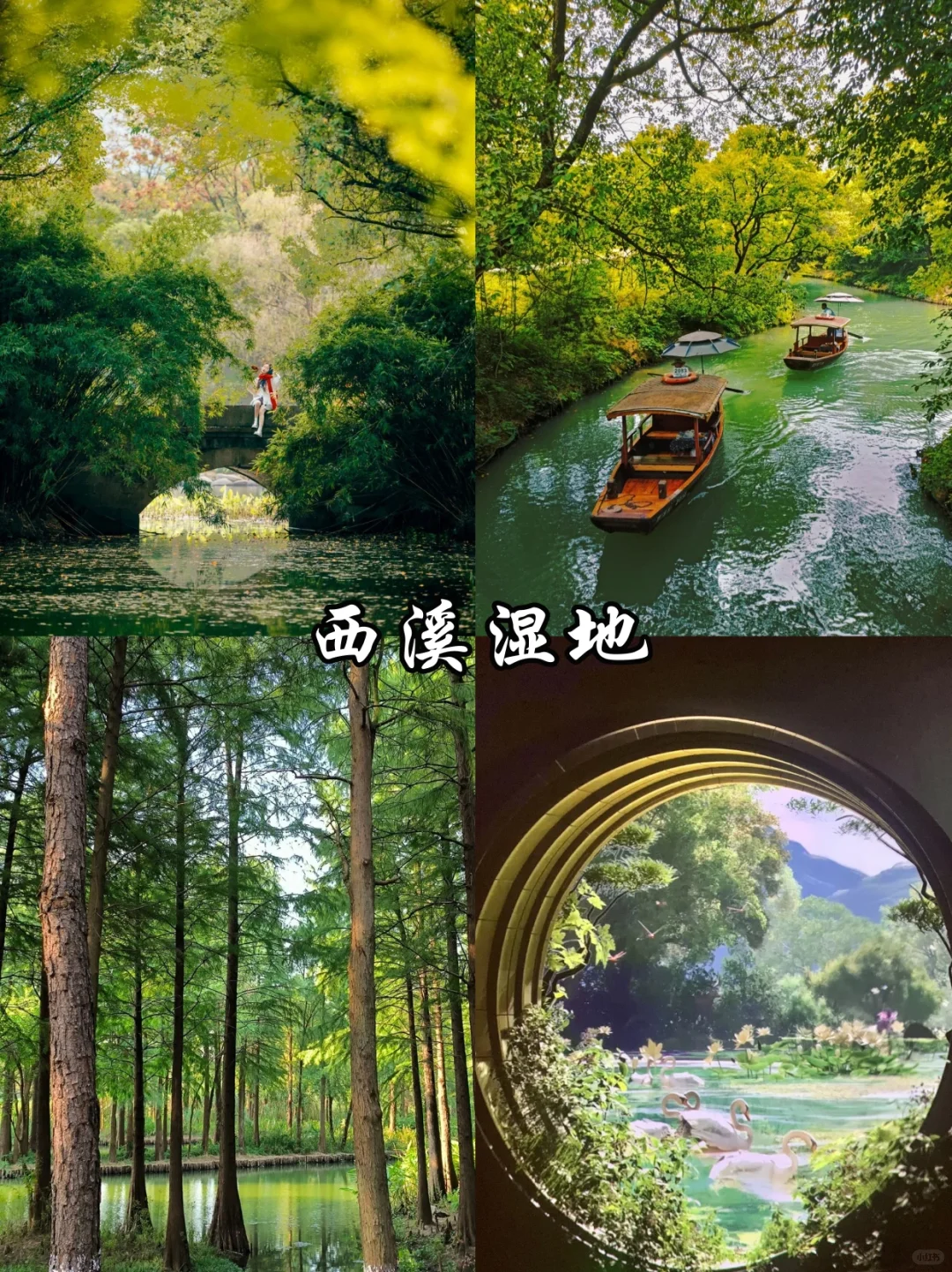 🔥杭州必去9️⃣大热门景点!看这一篇就够啦!