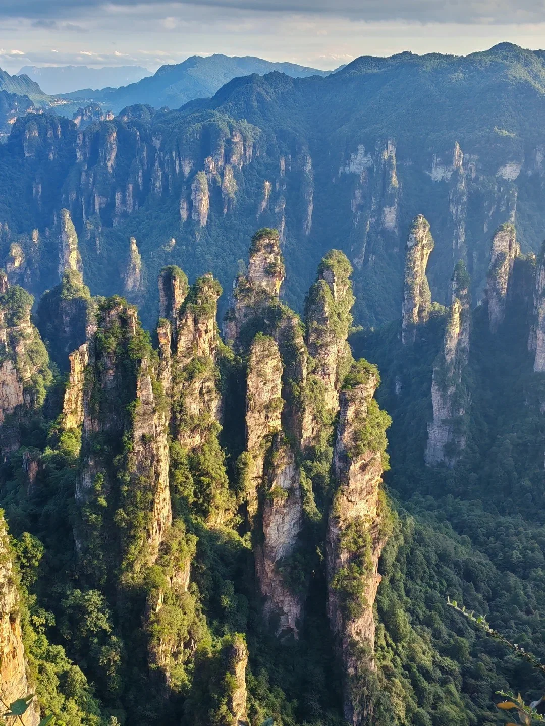 张家界必去九大景点❗旅游前必看攻略❗