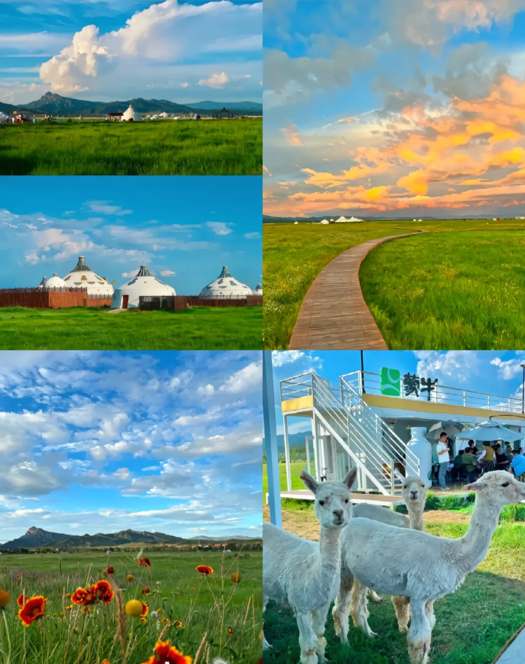 【呼和浩特｜草原与城市的完美邂逅】