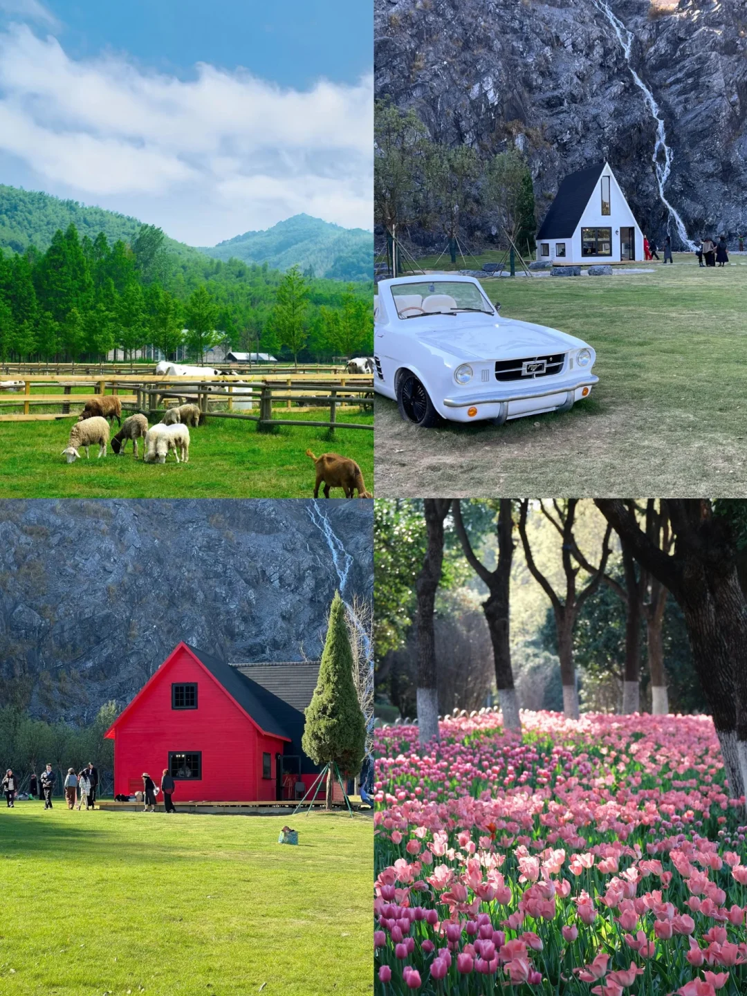 江浙沪周边景点 | 团建好去处✅不容错过