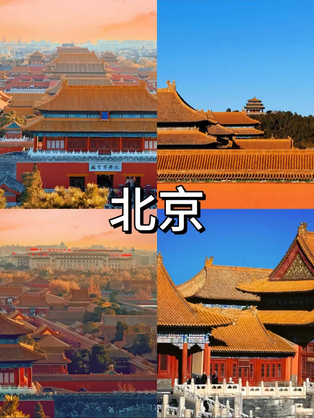 去旅游，适合带小朋友的六个地方❗❗❗
