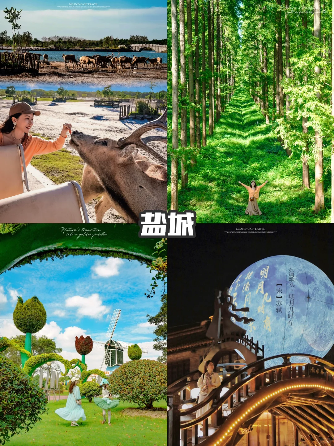 4-5月春天旅游，国内30个亲子游宝地🎈