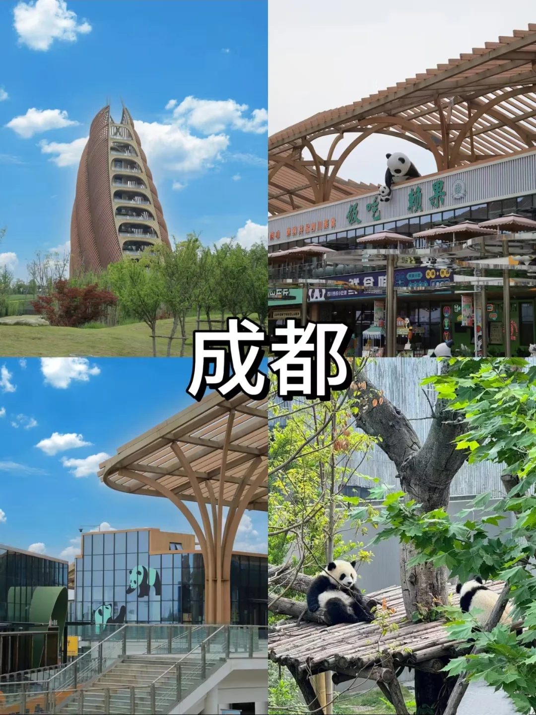 去旅游，适合带小朋友的六个地方❗❗❗