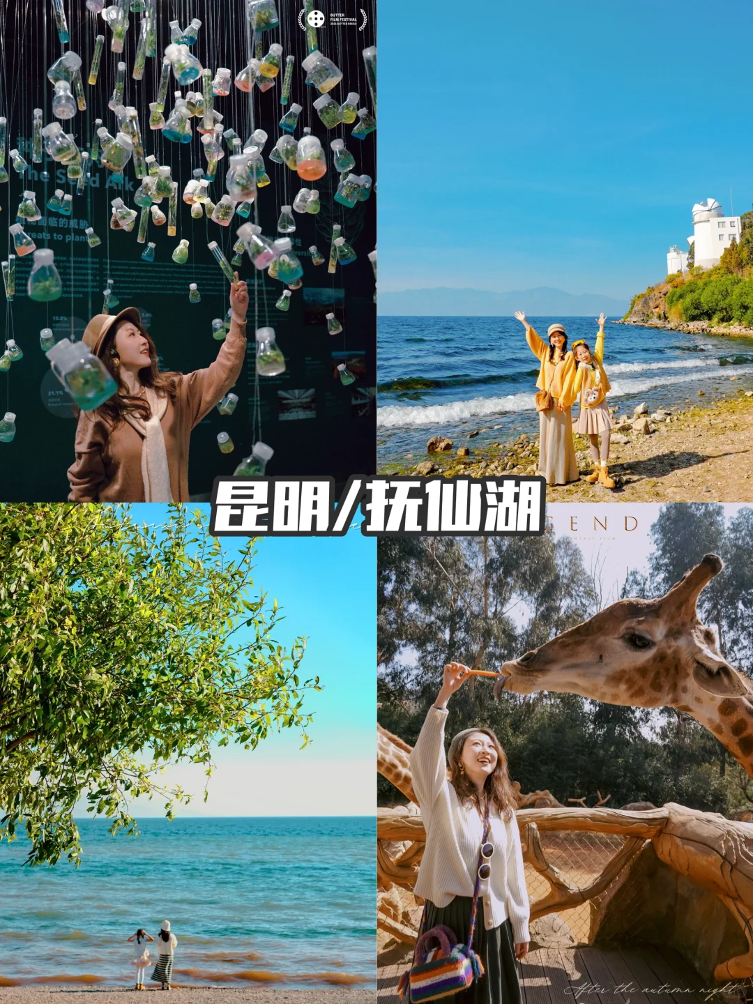 4-5月春天旅游，国内30个亲子游宝地🎈