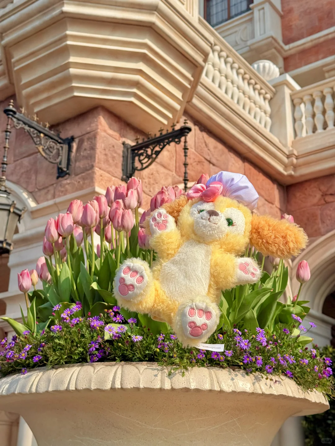 春天还得看迪士尼！！真的美疯了！