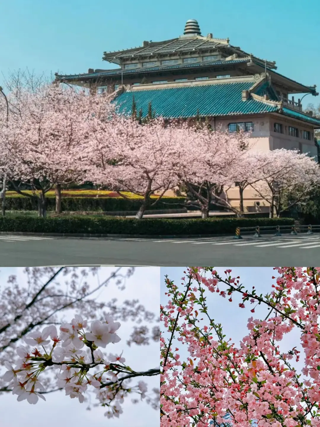 话虽然难听，🥹但的确是武汉旅游🌸现状。。。…