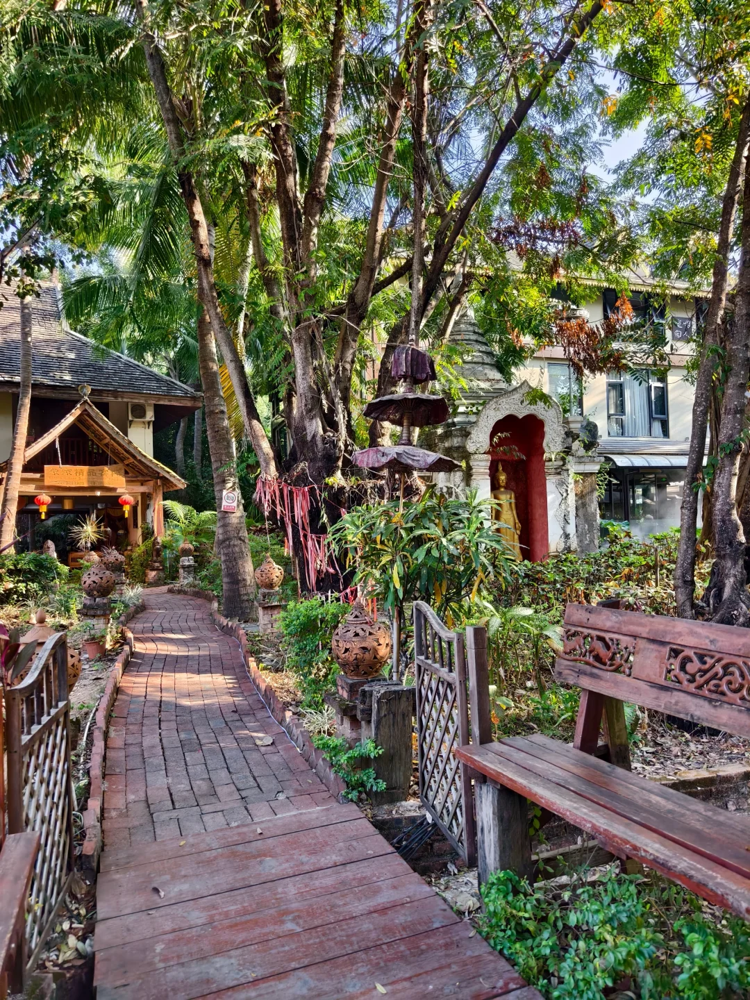 一篇讲清‼️来西双版纳住哪里