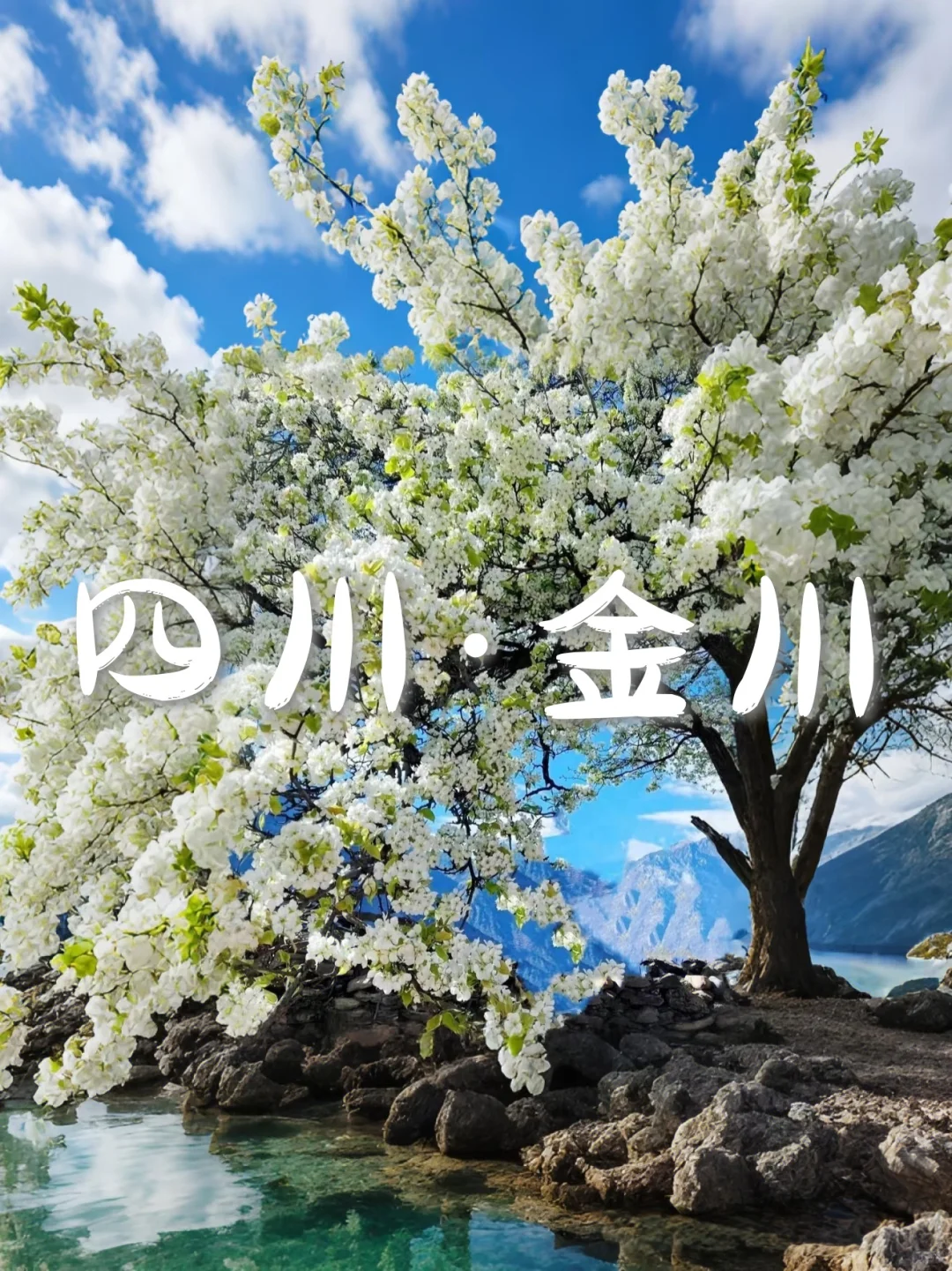 国内6个封神级花海，美到窒息想私奔