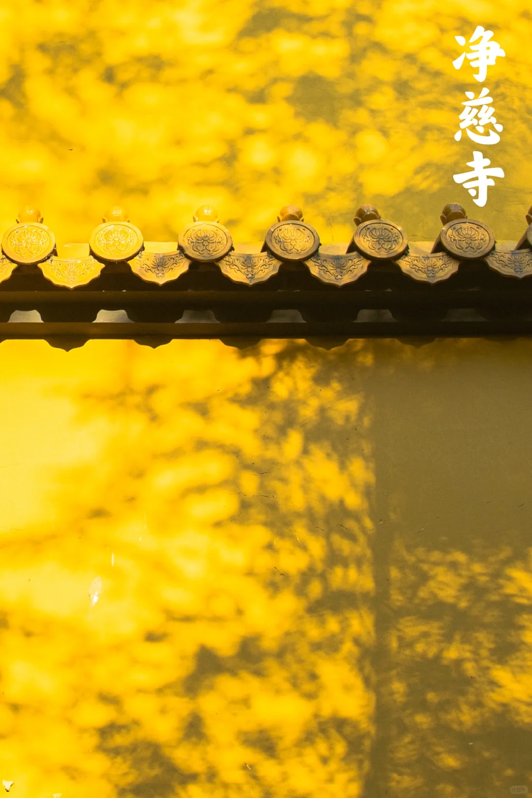 雷峰塔和净慈寺