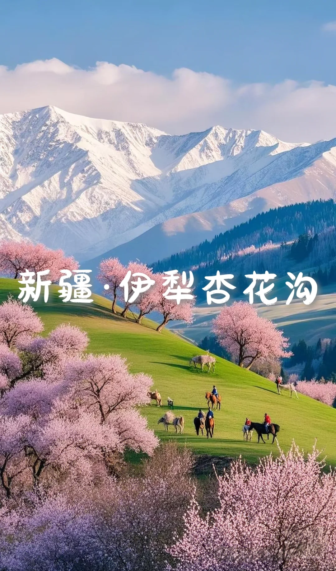 国内6个封神级花海，美到窒息想私奔