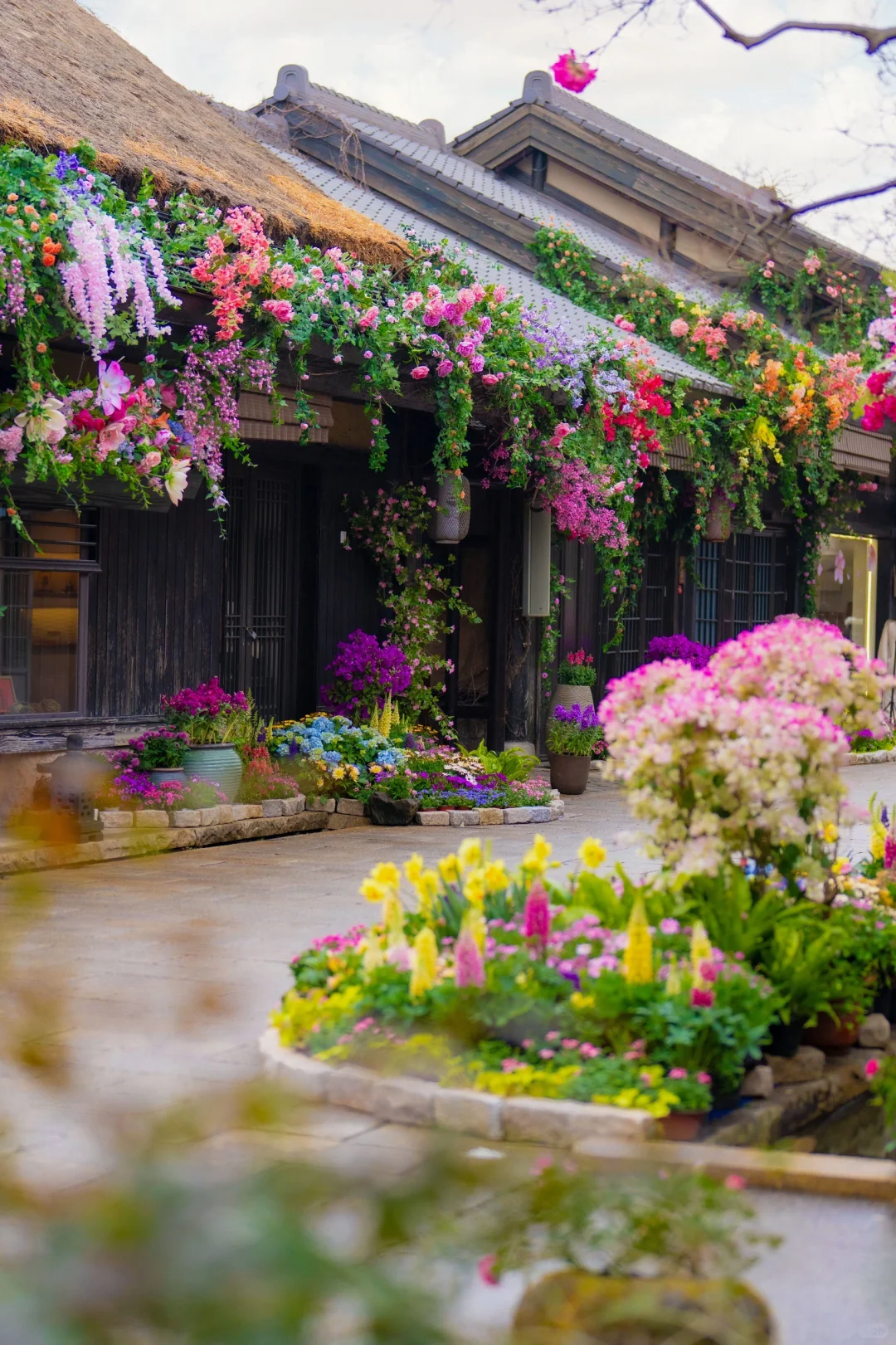 我在无锡上春山🌸江苏被严重低估的宝藏小城