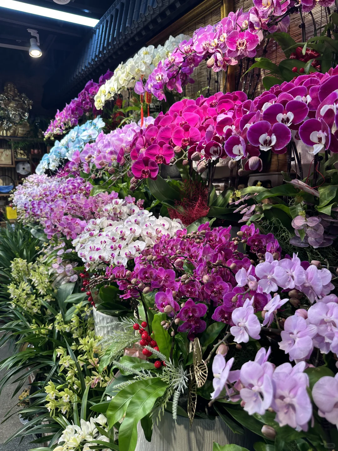 在杭州的惊喜发现！来旅游的人不要错过