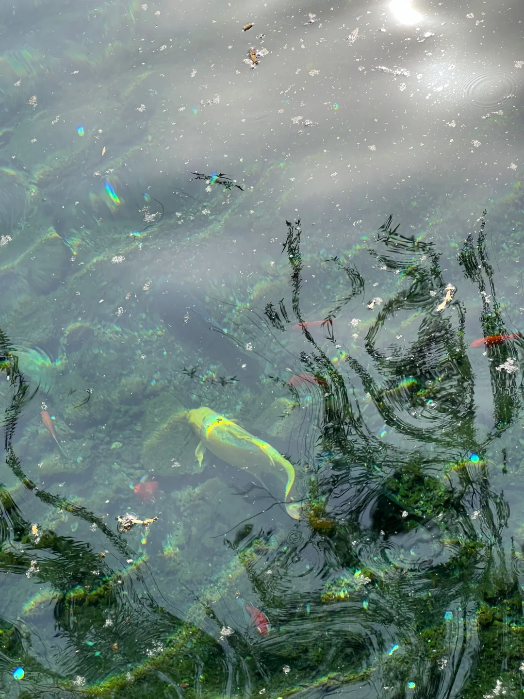 刚从济南回来，五一要去的姐妹听劝！