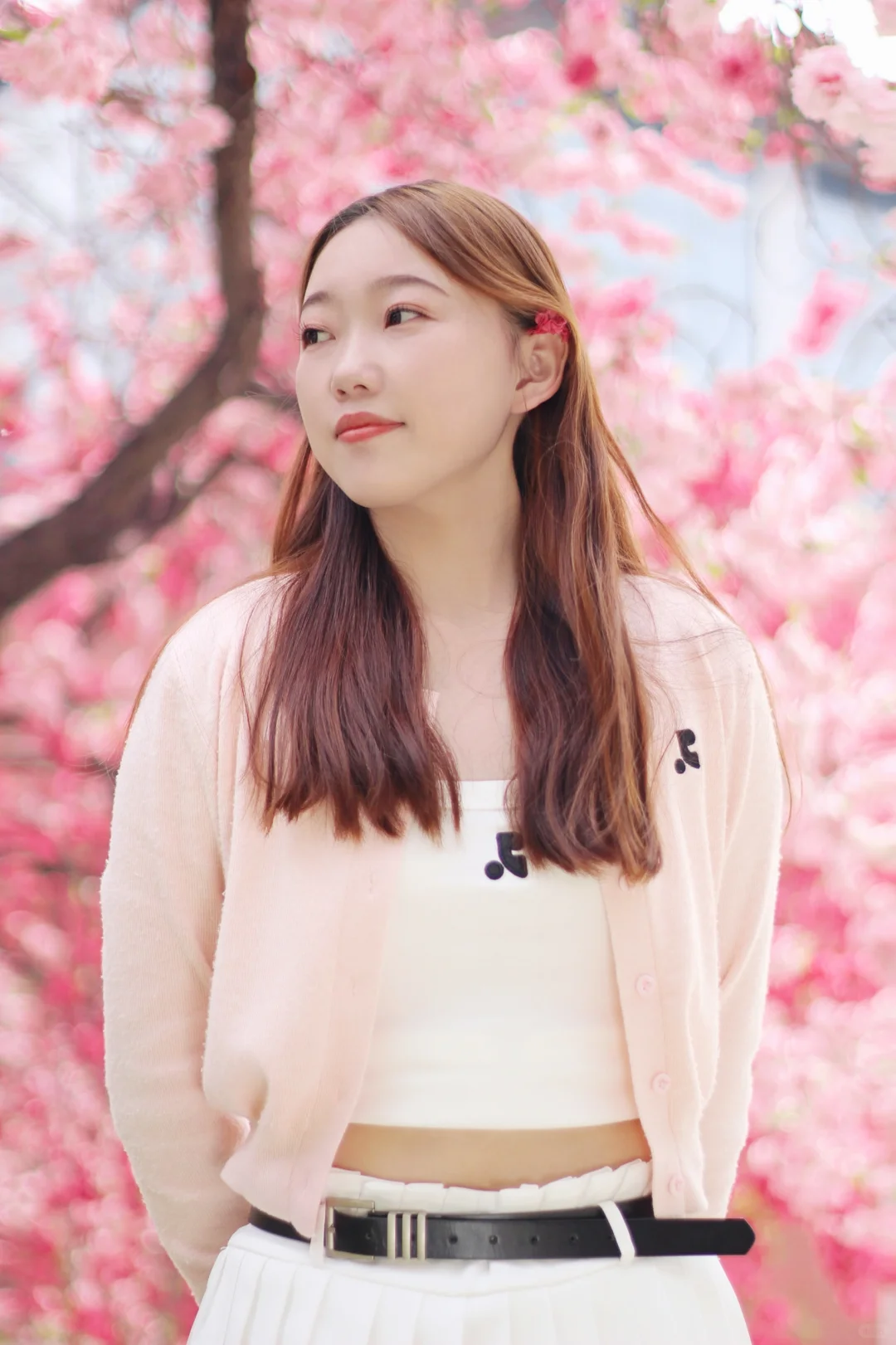 河大春天必打卡景点之洒金碧桃🌸