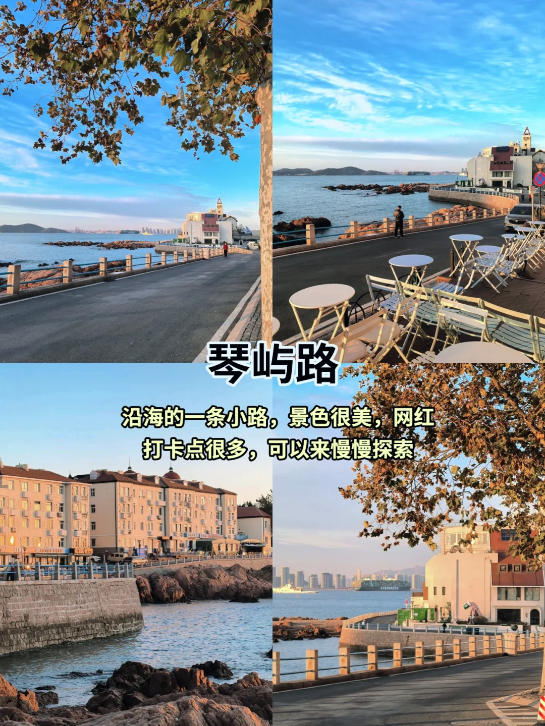 轻松不累❗青岛一日游经典路线❗