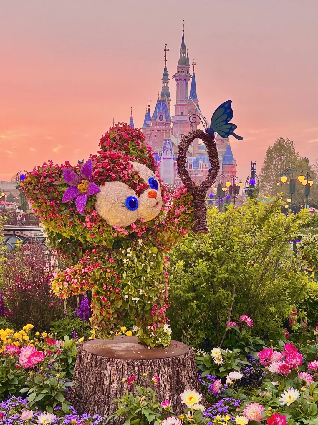 春天还得看迪士尼！！真的美疯了！
