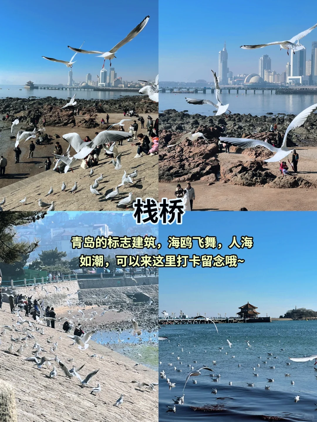 轻松不累❗青岛一日游经典路线❗