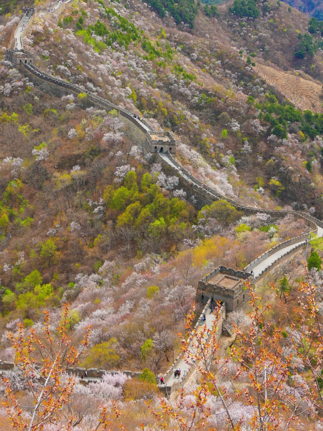 北京旅游长城游玩攻略，看这篇就够啦‼️